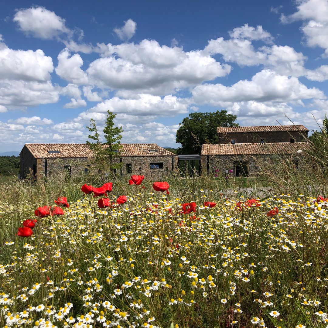 Il Podere