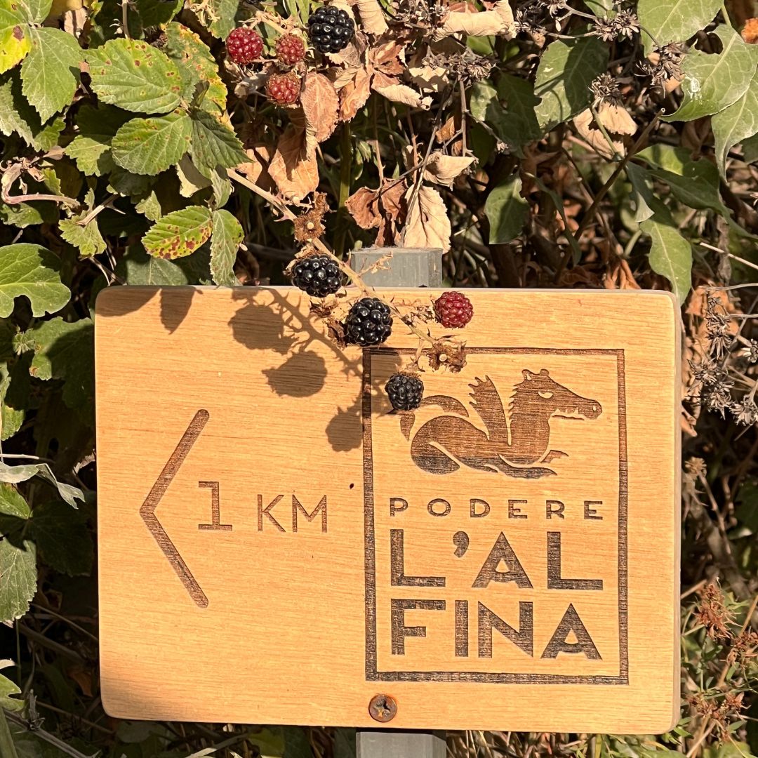 Il Podere