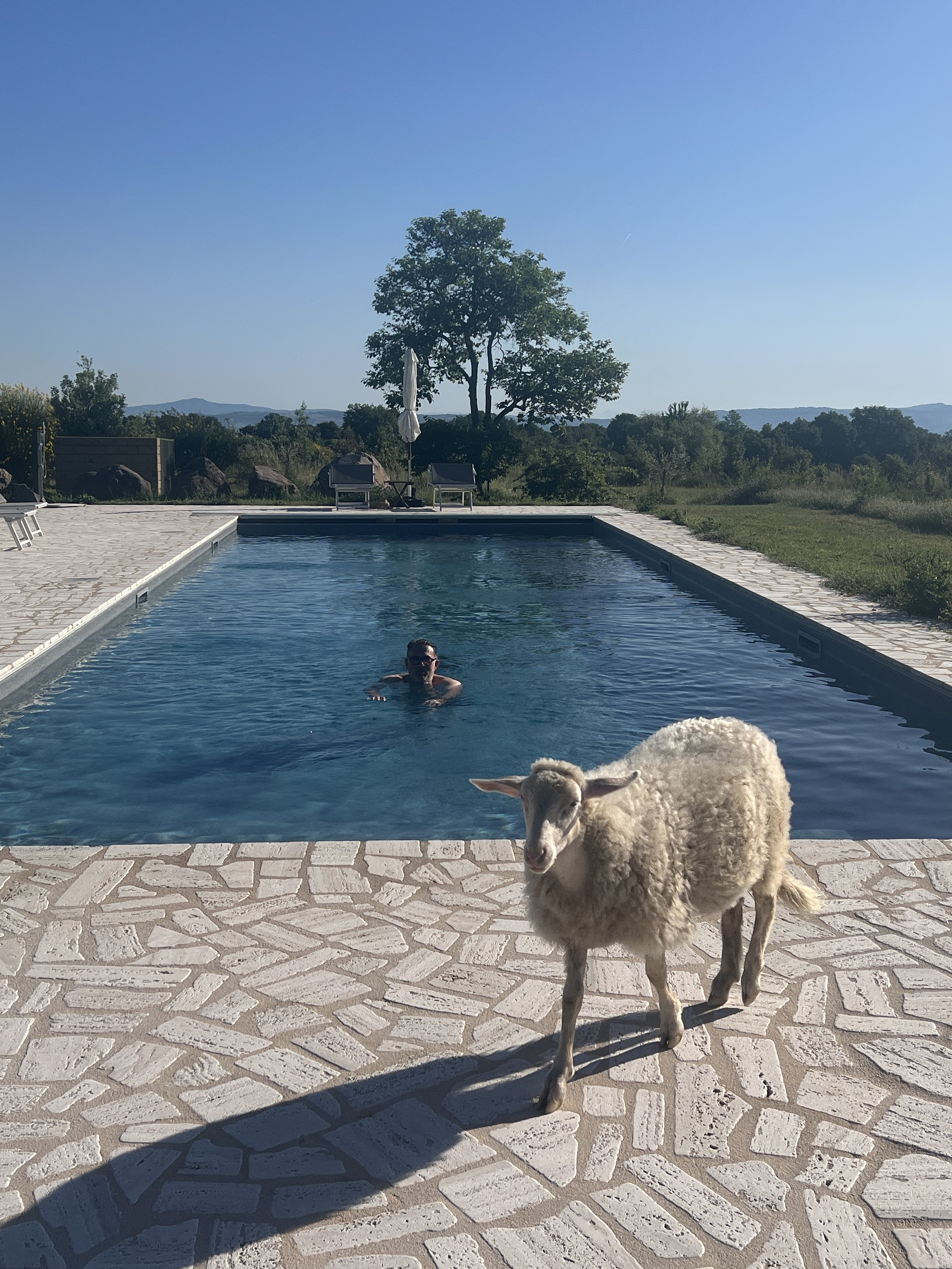 Il Podere
