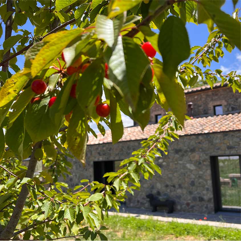 Il Podere